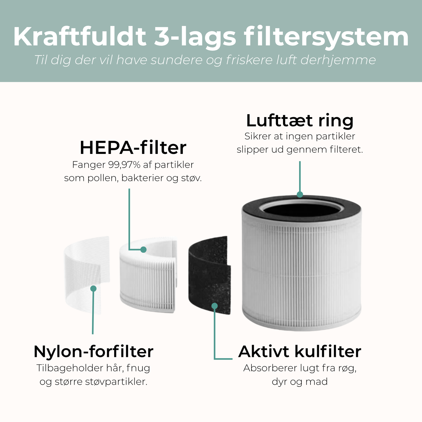 CleanAir Pro™ - Luftrenser